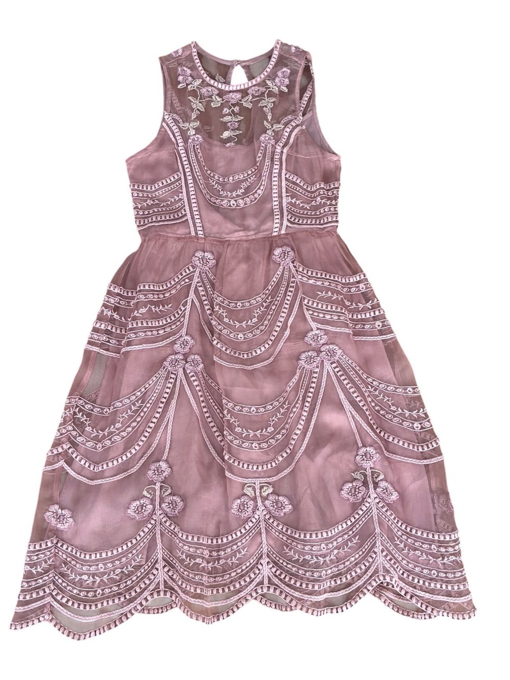 Hitherto Anthropologie Blush Embroidered Silk Mesh Overlay Dress Vintage-Vibe 4